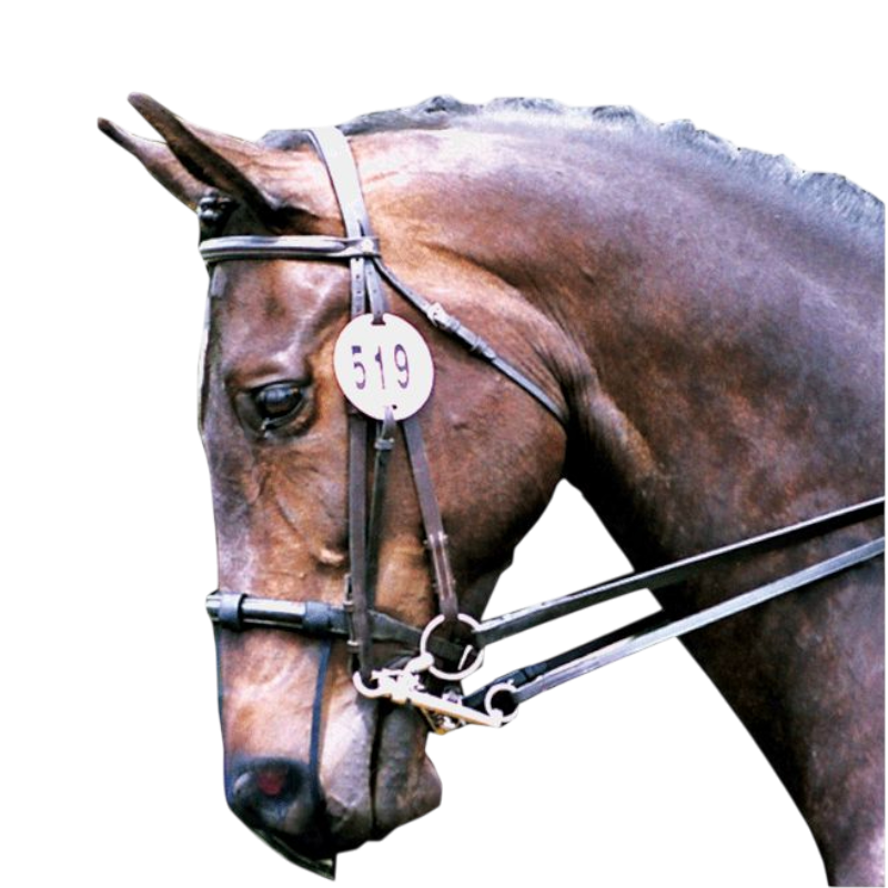 Equilibrium - Anti-cense nose protection 