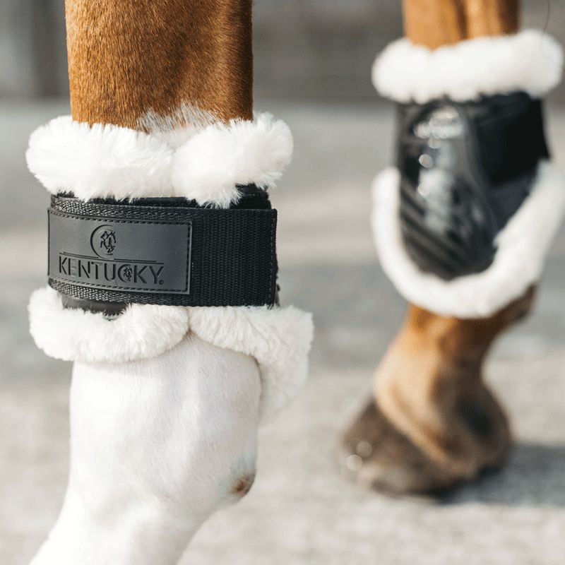 Kentucky Horsewear - Protège-boulet jeunes chevaux mouton vegan noir | - Ohlala