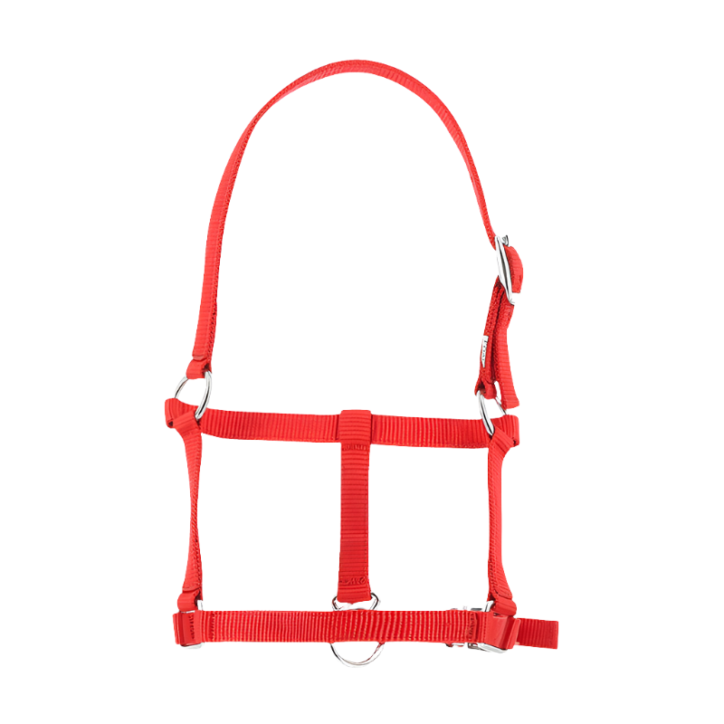 Riding World - Red foal halter