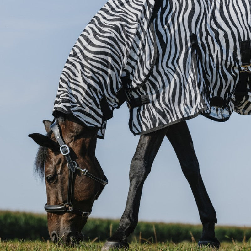 Riding World - Anti-vliegen mesh shirt Combo Belly zebra 