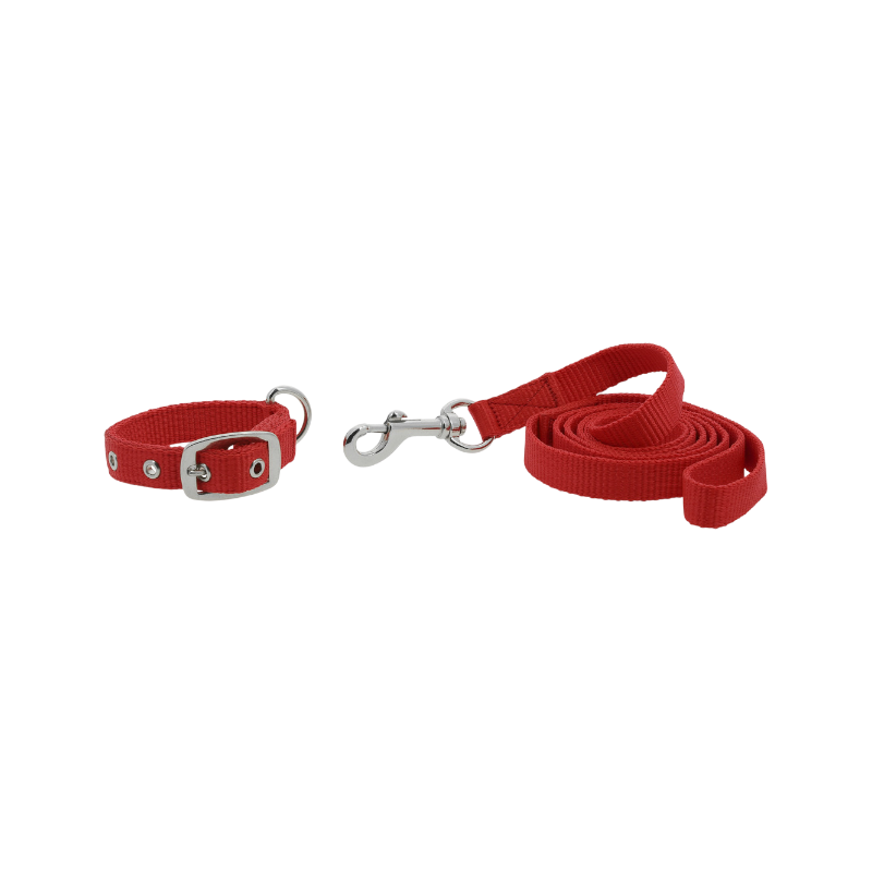 Riding World - Hondenhalsband en -lijn Oscar rood 