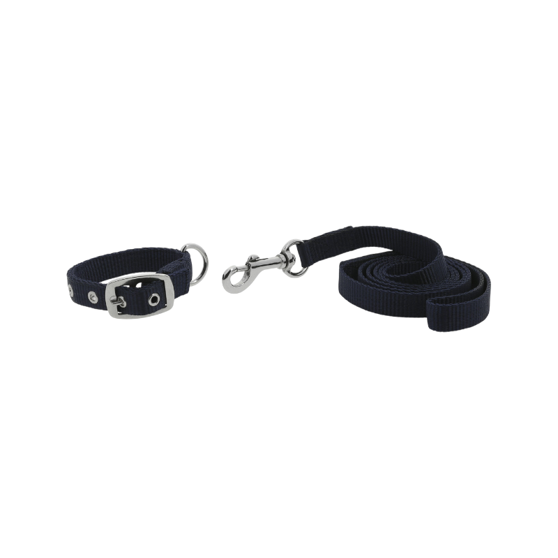 Riding World - Collier pour chien Oscar avec laisse marine | - Ohlala
