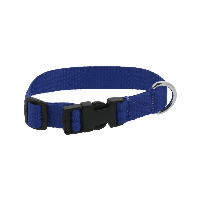 Riding World - Royal blue dog collar 
