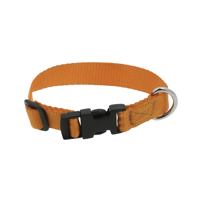 Riding World - Hondenhalsband Pat oranje 