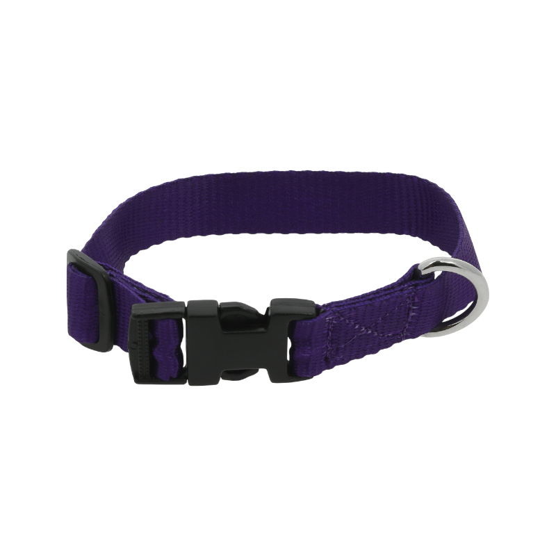 Riding World - Collier pour chien Pat violet