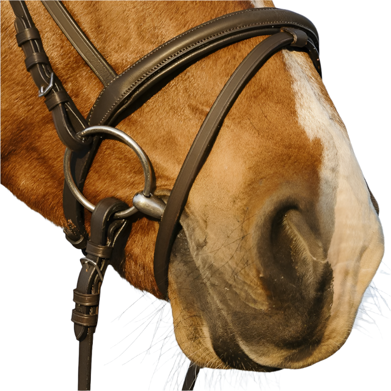 Riding World - Bridon muserolle combinée double havane avec rênes