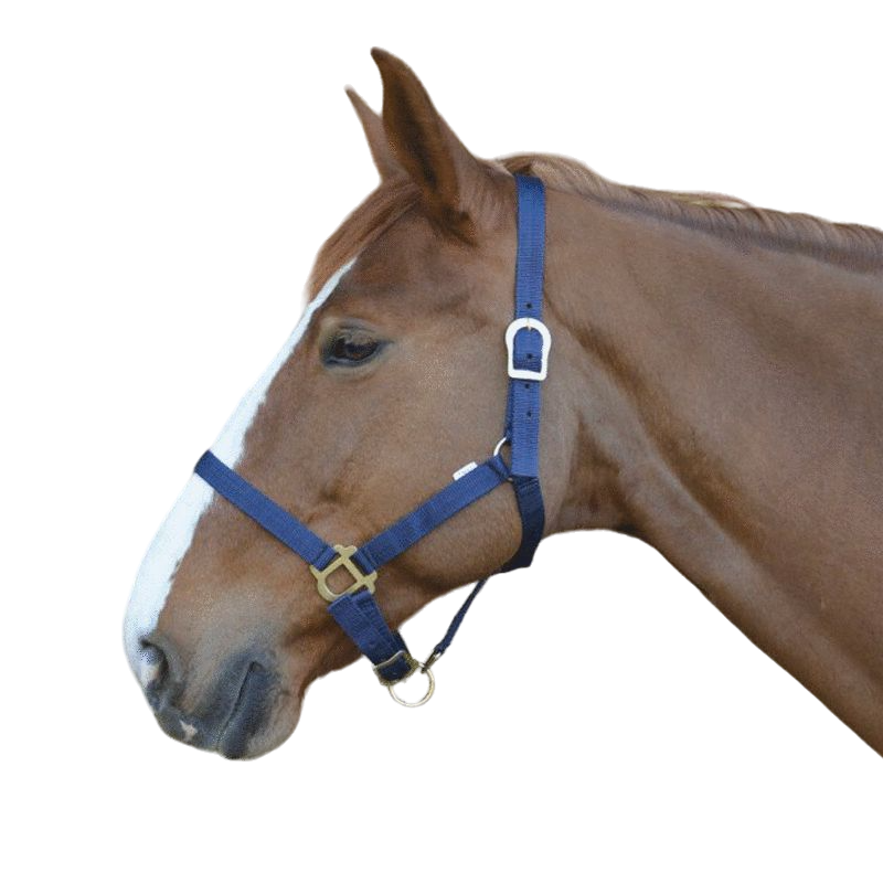 Riding World - Navy Nylon Halter