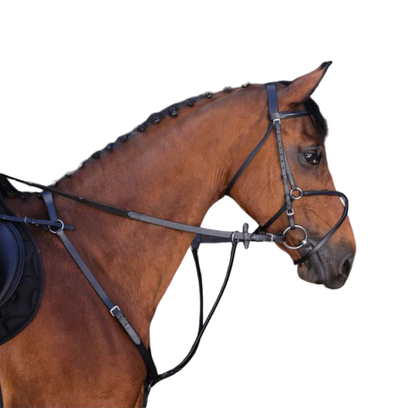 Riding World - Martingale met zwarte ringen