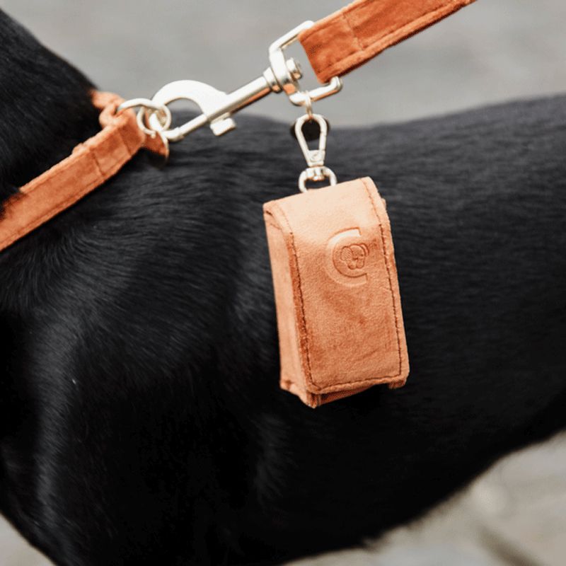 Kentucky Dogwear - Sac à crottes carré velvet orange | - Ohlala