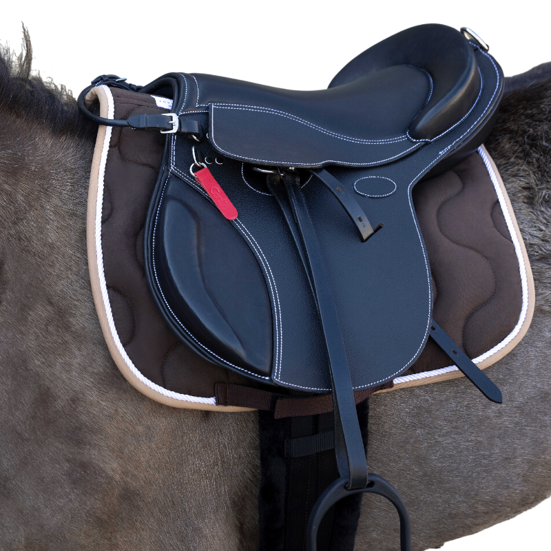 Guy Cantin - Selle éducative Evolution Jumping noir