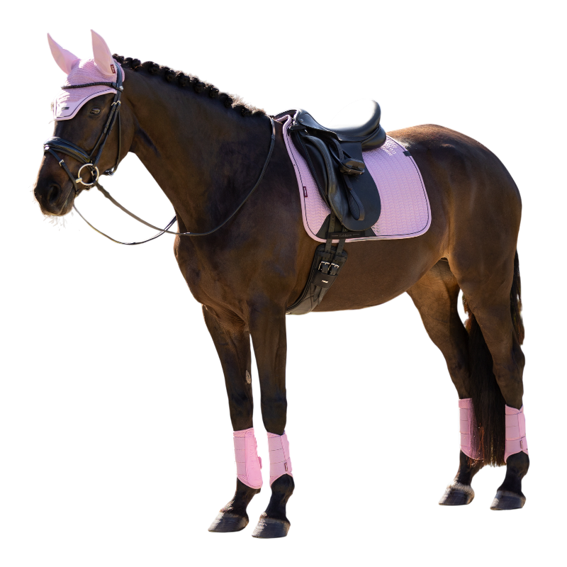 LeMieux - Tapis de dressage Essence fondant | - Ohlala