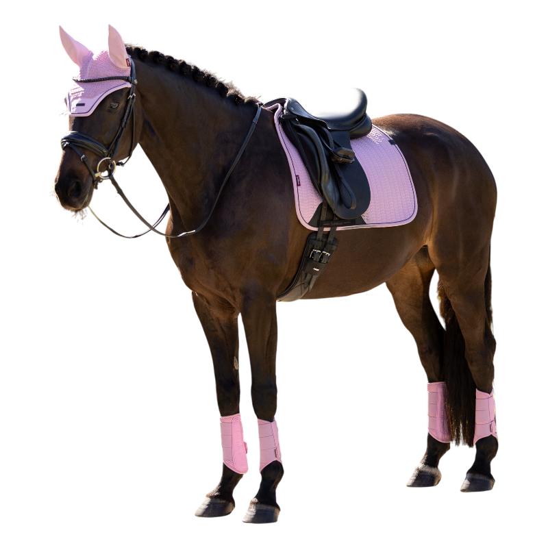 LeMieux - Tapis de dressage Essence fondant | - Ohlala