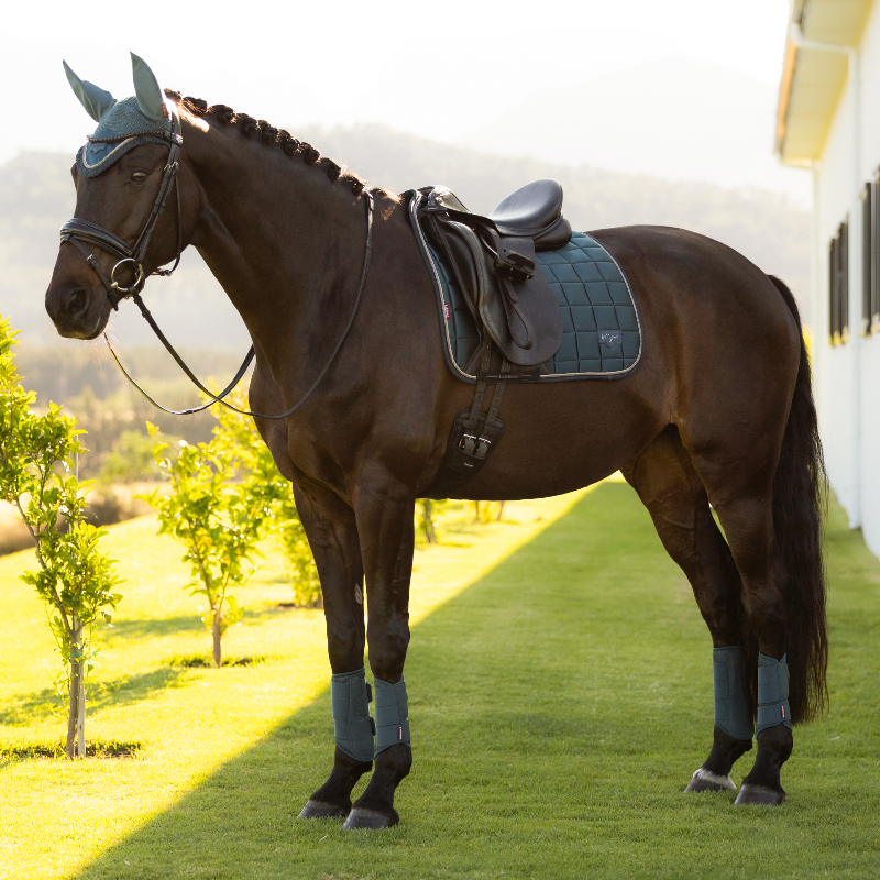 LeMieux - Tapis de dressage Loire Classic jungle | - Ohlala