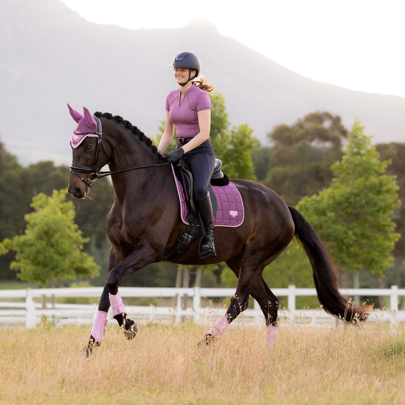 LeMieux - Tapis de dressage Loire Classic mallow | - Ohlala