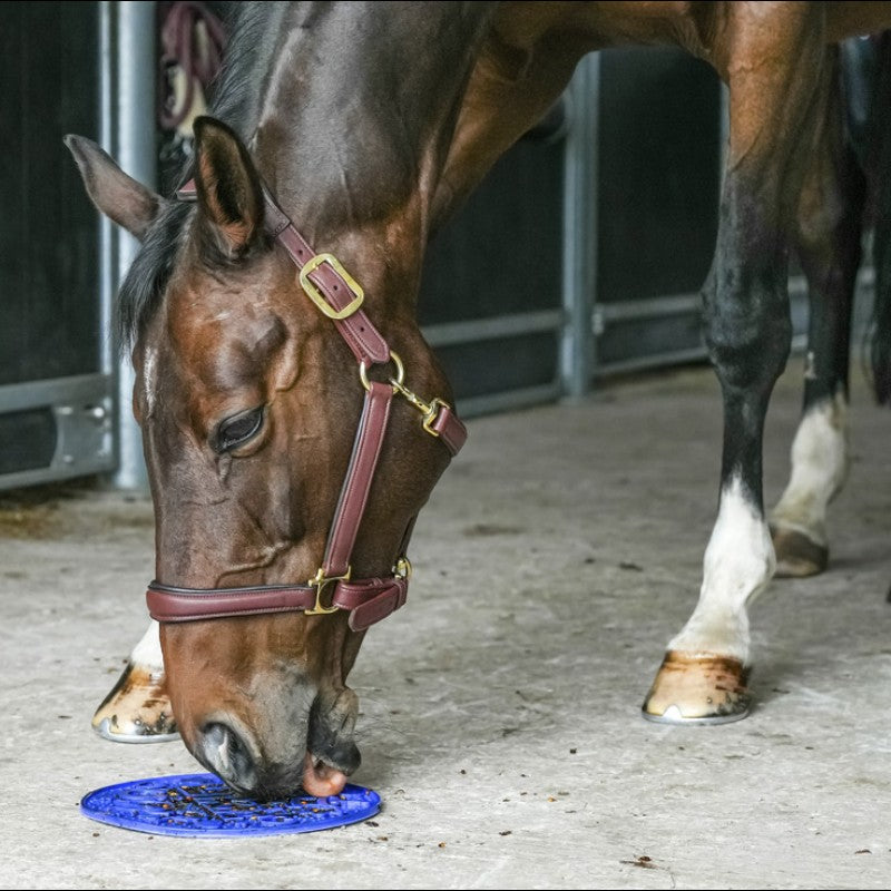 Likit - Tapis de léchage Graze maze bleu