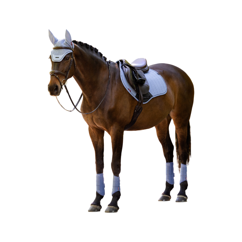 LeMieux - Tapis de selle Essence Close Contact powder blue | - Ohlala