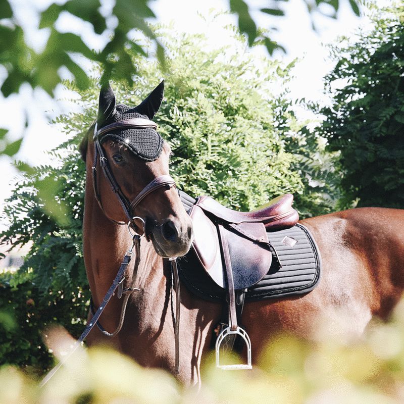 Kentucky Horsewear - Tapis de dressage Pearls gris | - Ohlala