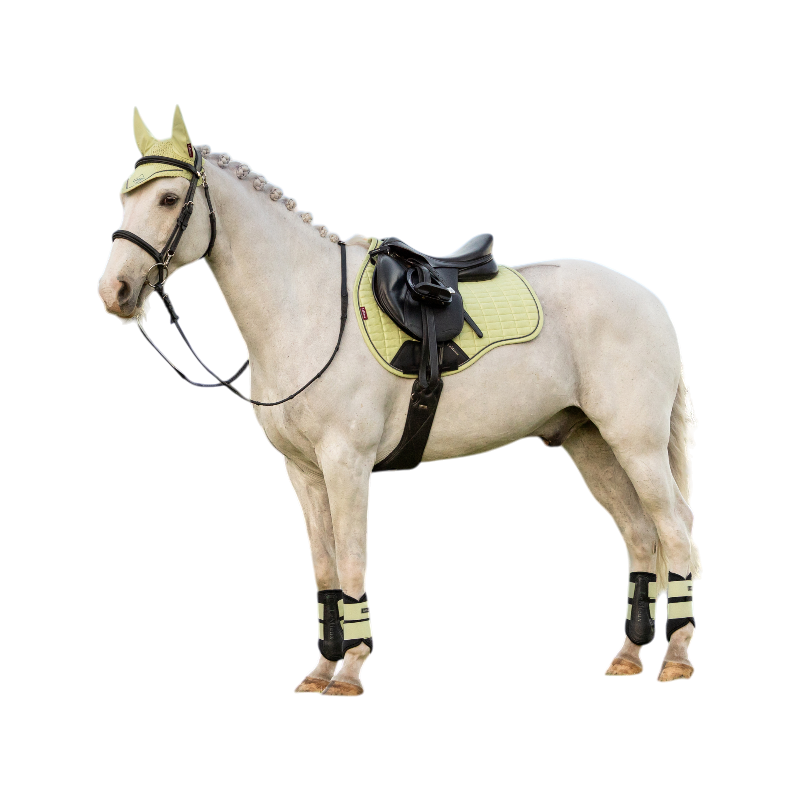 LeMieux - Tapis de selle Suede GP macaron | - Ohlala