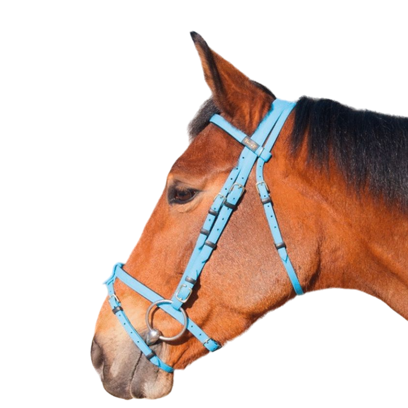 TdeT - Biotack® sky blue bridle