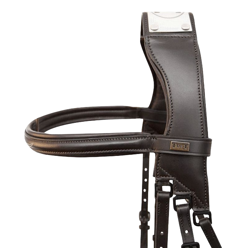 TdeT - Raphael bridle black