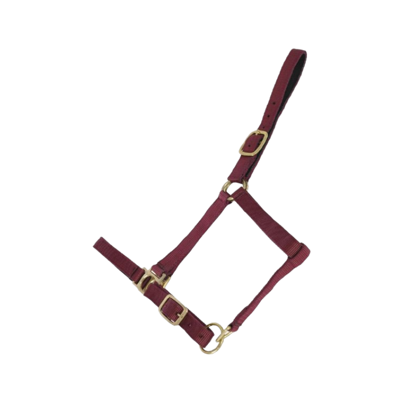 TdeT - Synthetic halter lined with burgundy suede