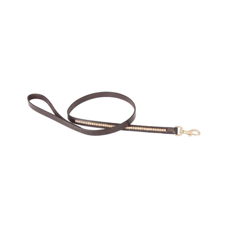 TdeT - Dark havana/yellow clincher dog leash