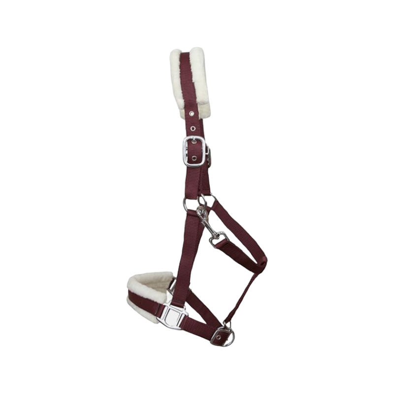 TdeT - Nylon and burgundy sheep halter