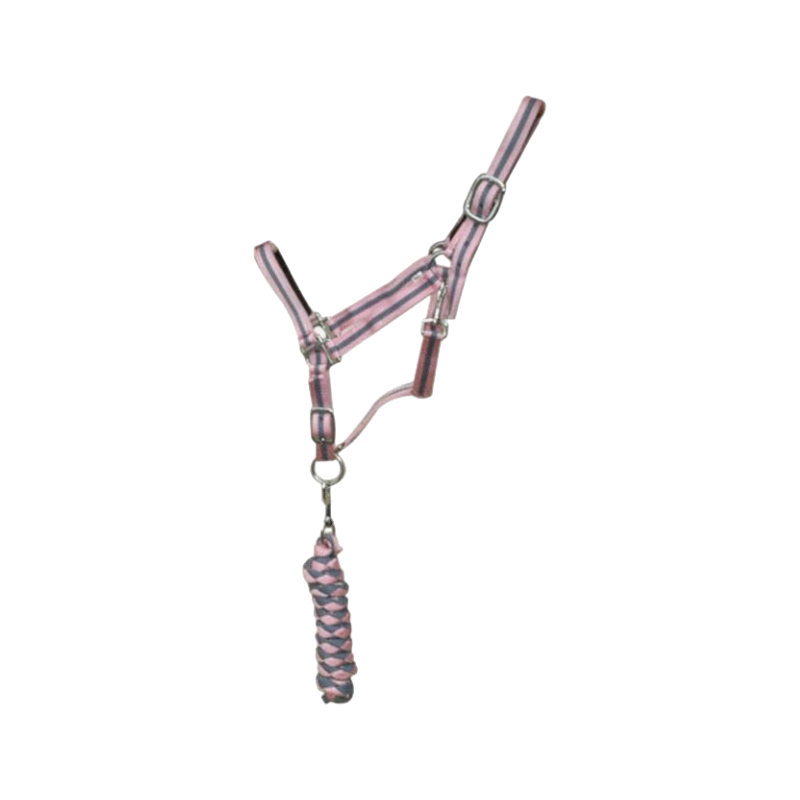 TdeT - Lined synthetic halter + gray/pink braided lead