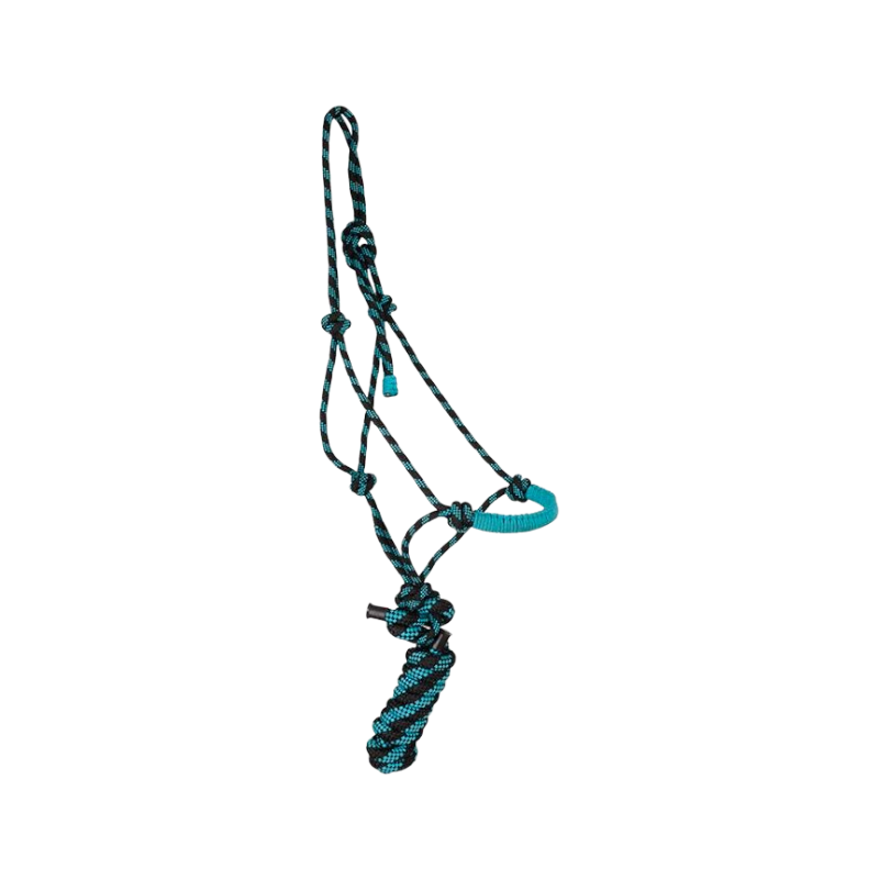 TdeT - Ethological comfort halter + lead black/turquoise melange