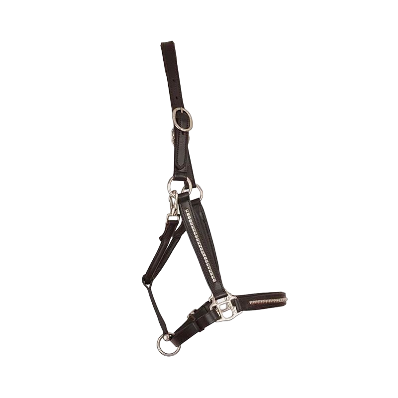 TdeT - Dark Havana white clincher leather halter