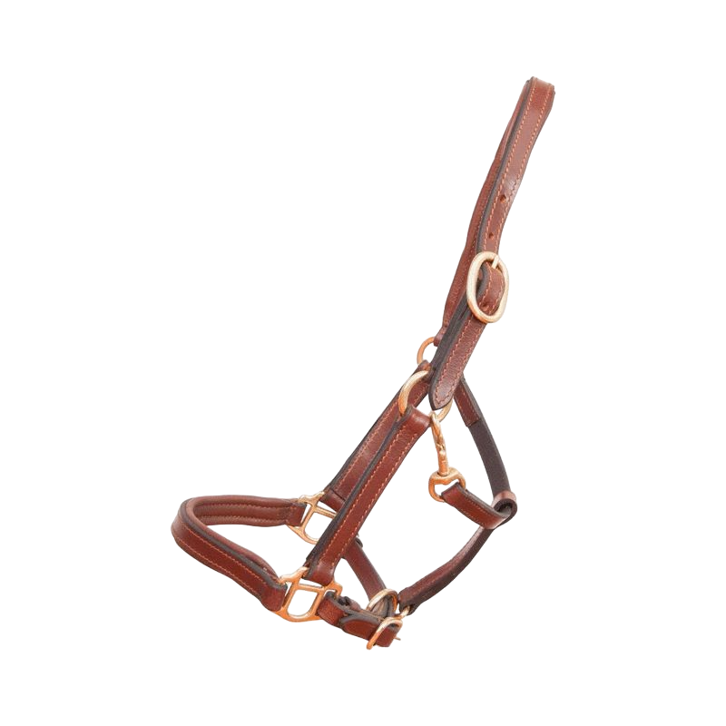 TdeT - Foal halter in tobacco leather