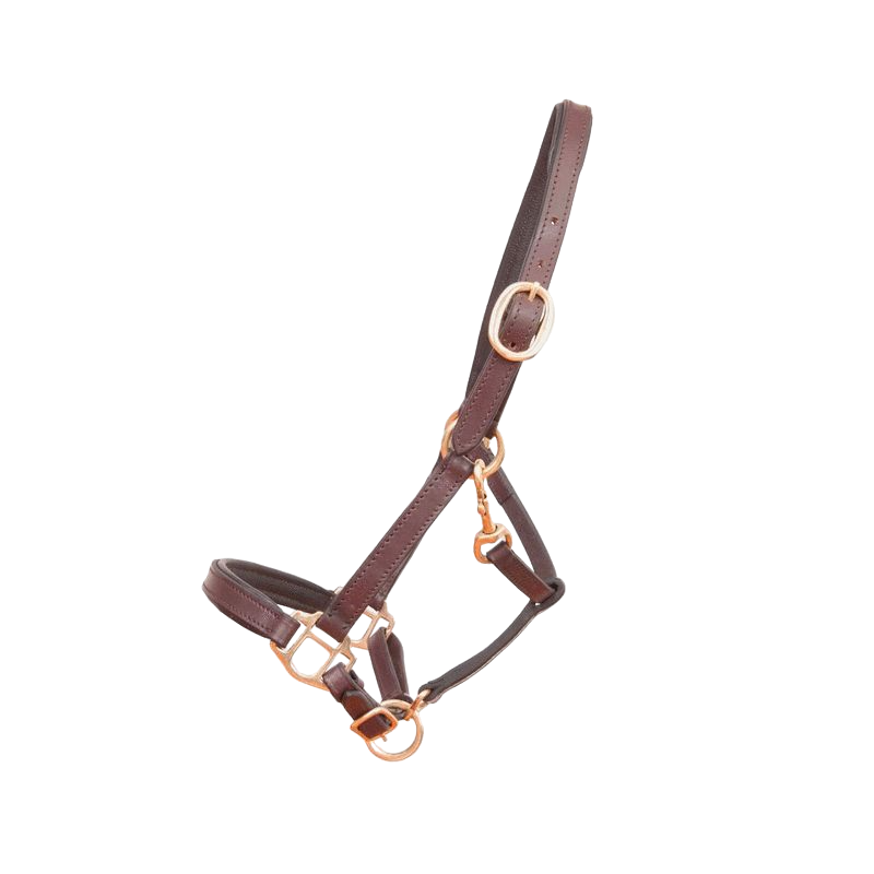 TdeT - Foal halter in dark brown leather