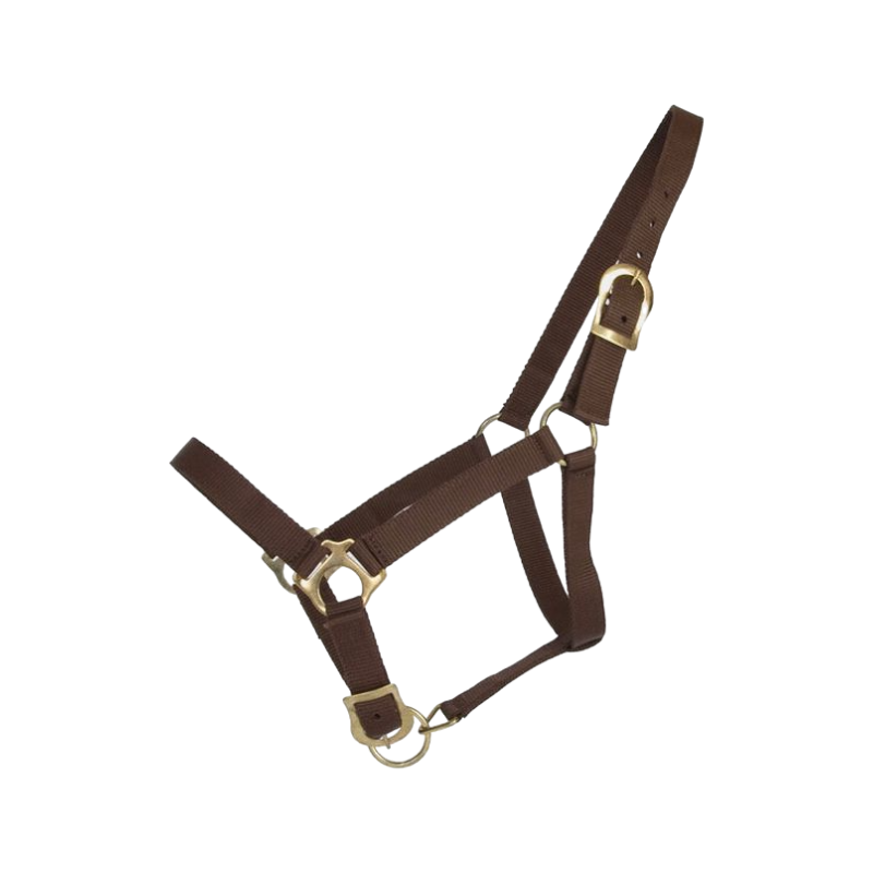 TdeT - Dark brown synthetic halter