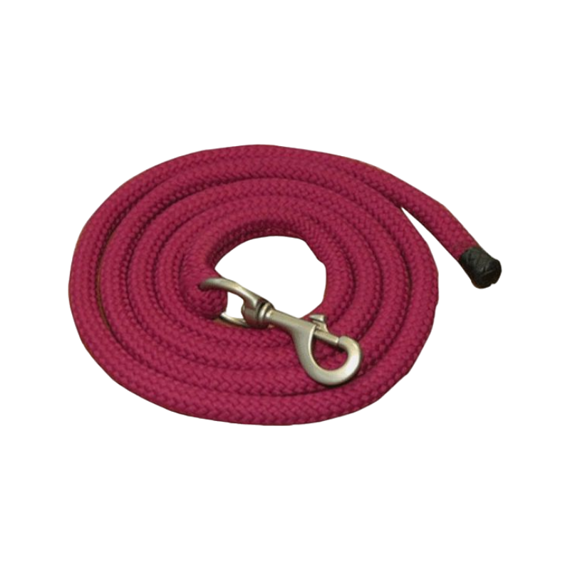 TdeT - Burgundy whisperer lanyard