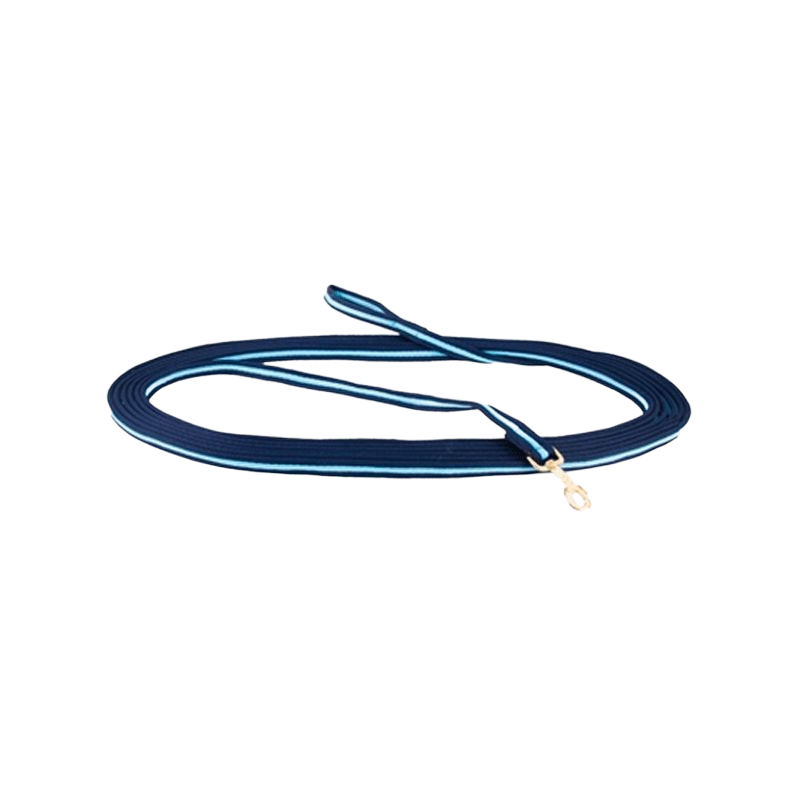 TdeT – Arbeits-Lanyard in Marineblau/Himmelblau