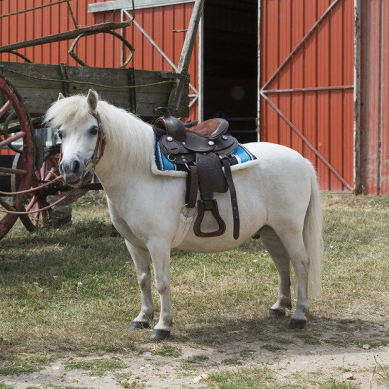 Westride - Selle Western Topeka havane | - Ohlala