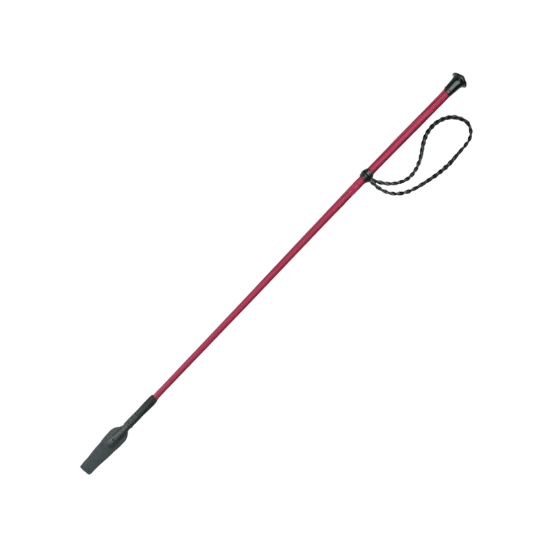 Whip & Go - Twist 65 cm zweep