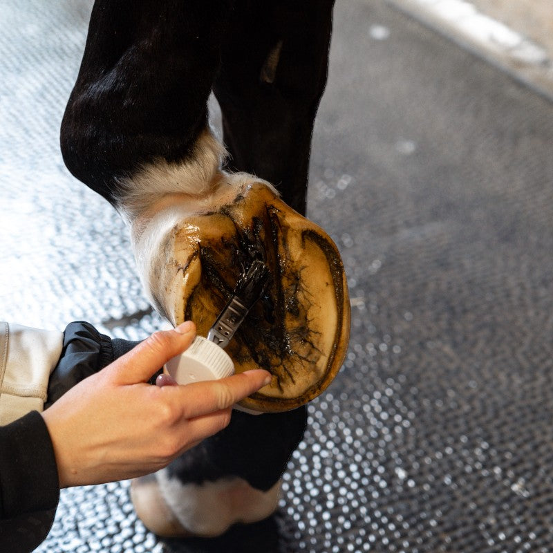 Alodis Care - Oil for hoof shock hoofs