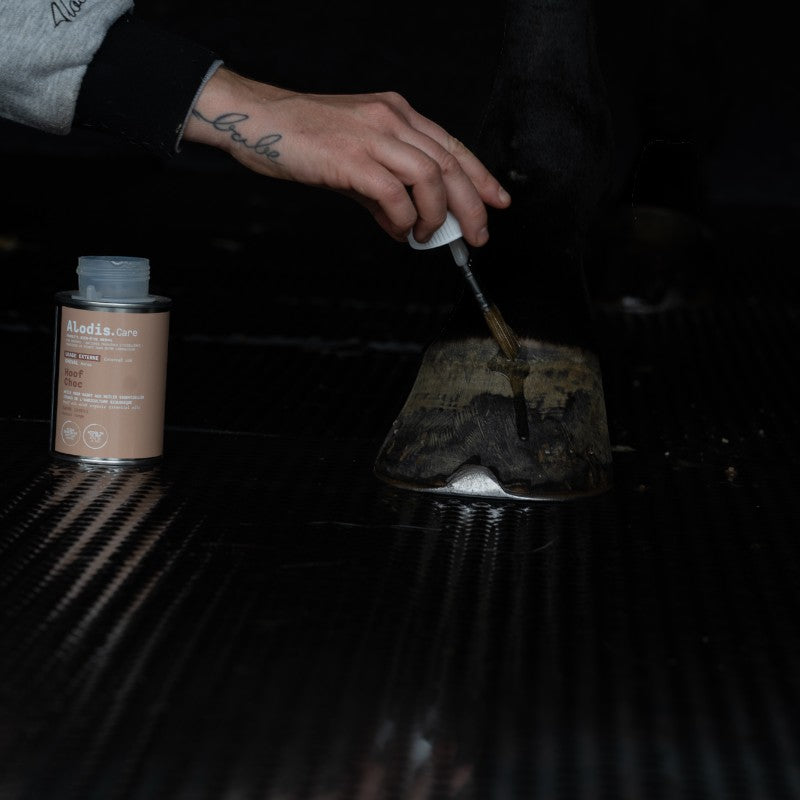Alodis Care - Oil for hoof shock hoofs