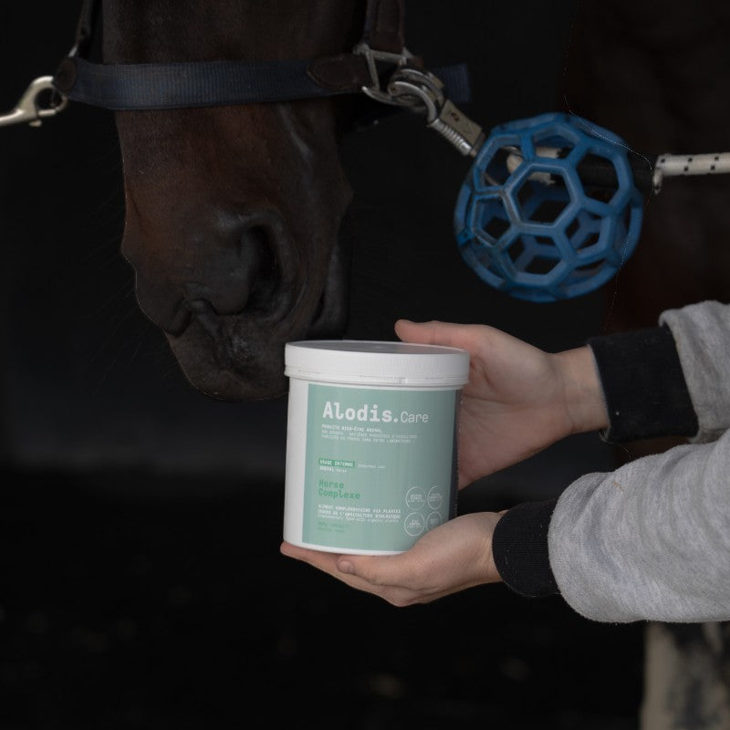 Alodis Care - Powder food supplement general condition Horse Complex 500g