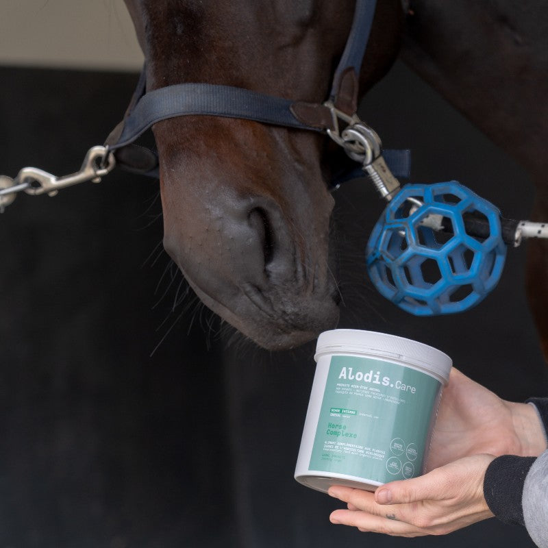 Alodis Care - Powder food supplement general condition Horse Complex 500g