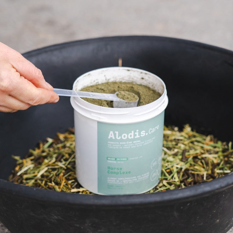 Alodis Care - Powder food supplement general condition Horse Complex 500g