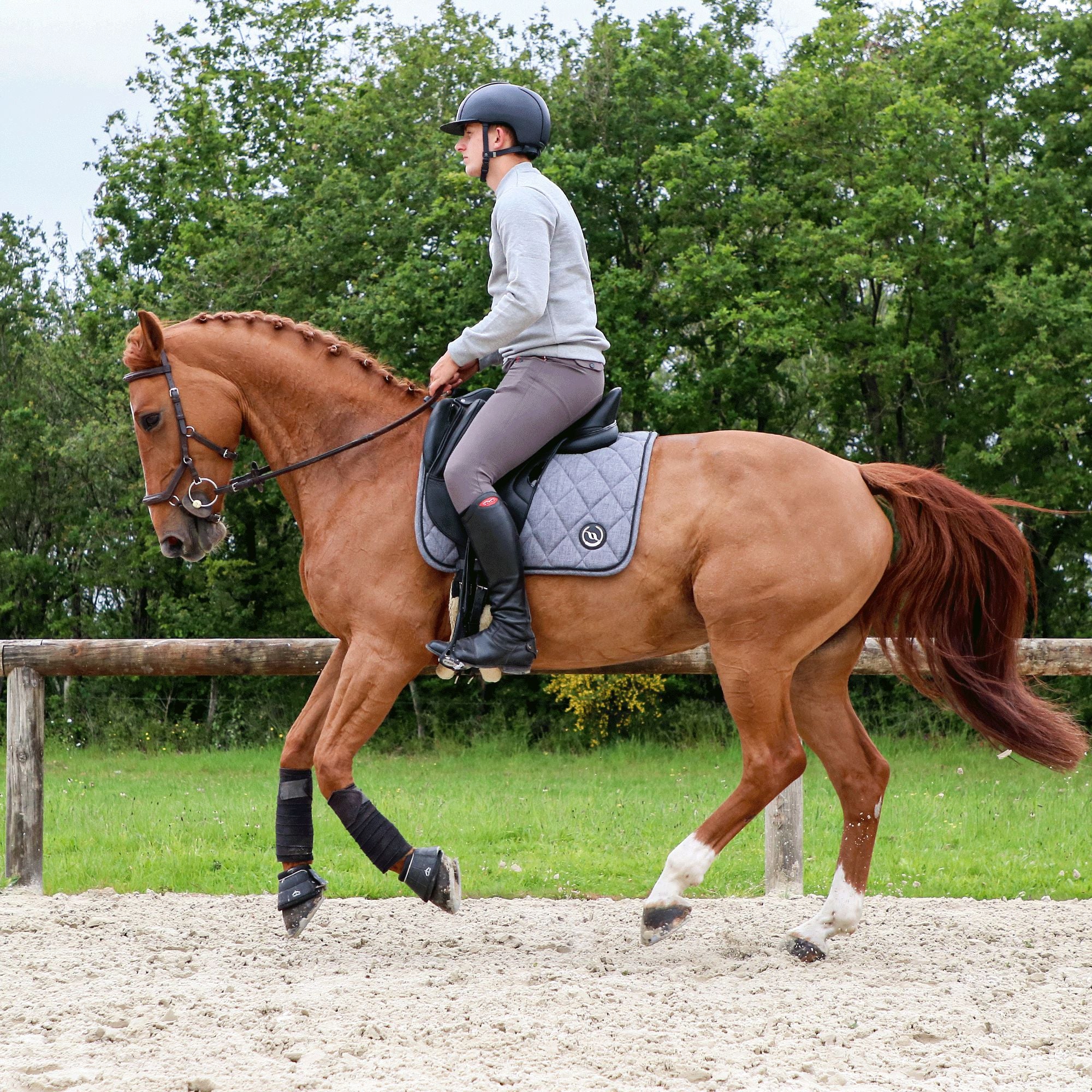 Flags & Cup - Pantalon d'équitation homme Saint Malo gris | - Ohlala