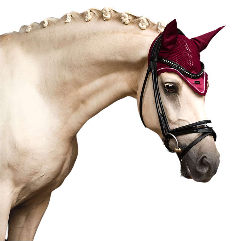 Equestrian Stockholm - Horse hat Burgundy