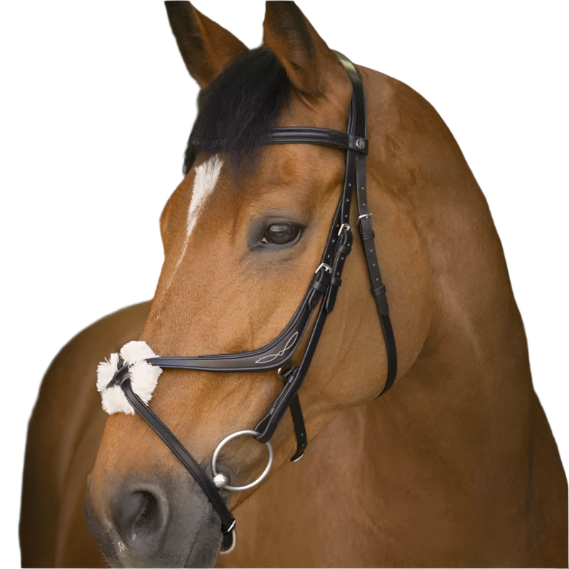 Norton - Black crossed noseband bridle