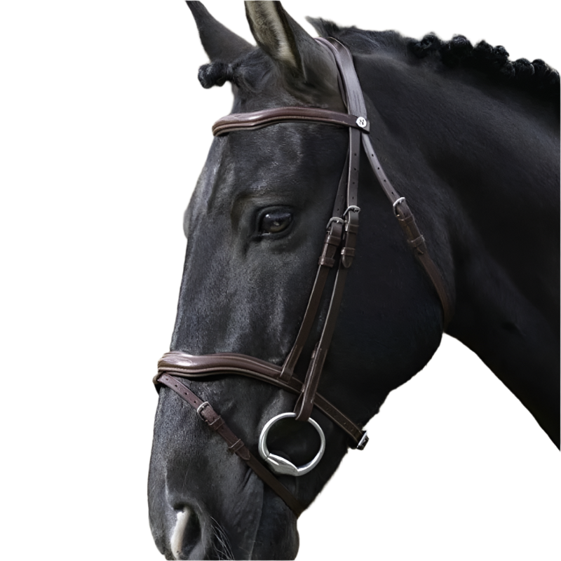 Norton - Havana Cutout Pro Bridle