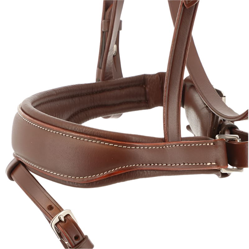 Norton Pro - Miss Havana Bridle