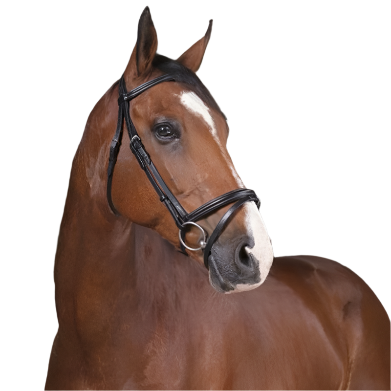 Norton Pro - Thin black bridle