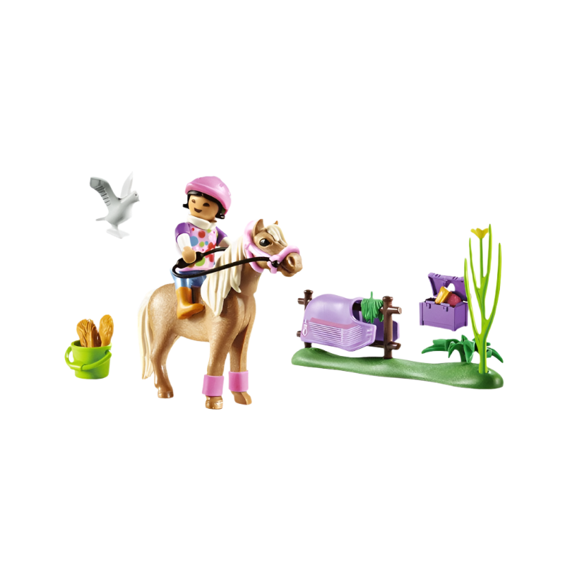 Playmobil - Cavalière et poney islandais