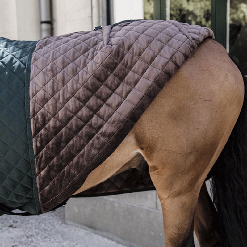 Kentucky Horsewear - Couverture de présentation 160g Vert | - Ohlala